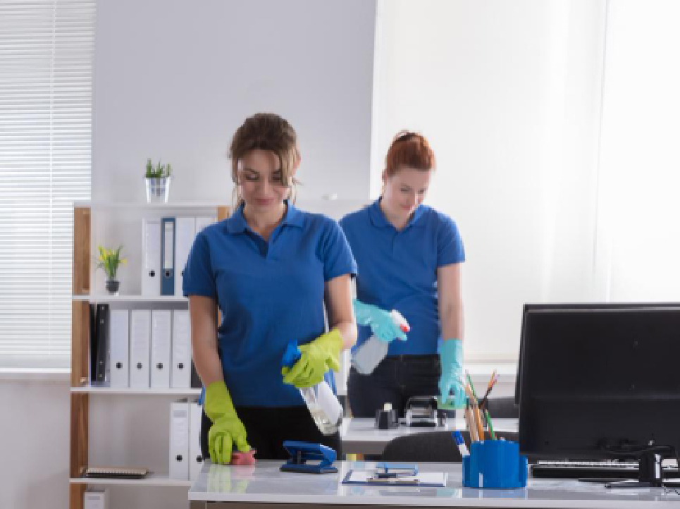 School Cleaning Team